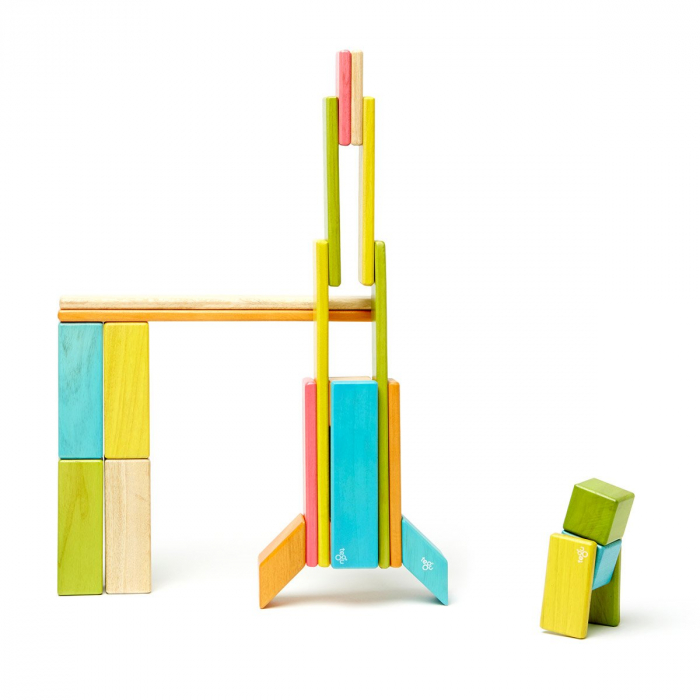 Tegu Tints, set 24 piese din lemn magnetic, 1-10 [4]