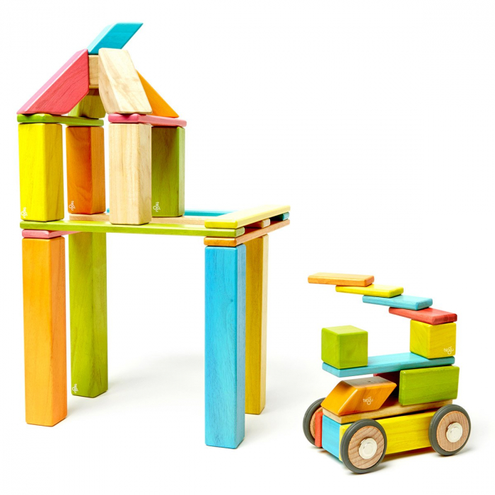 Tegu Tints, set 42 piese din lemn magnetic, 1-10 [2]