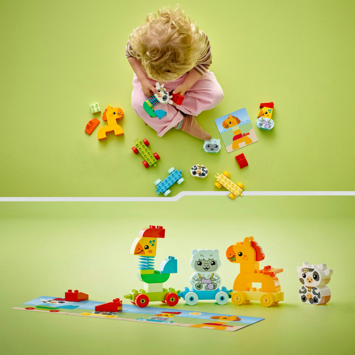 Tren cu animale, varsta de la 2 ani la 4 ani [8]