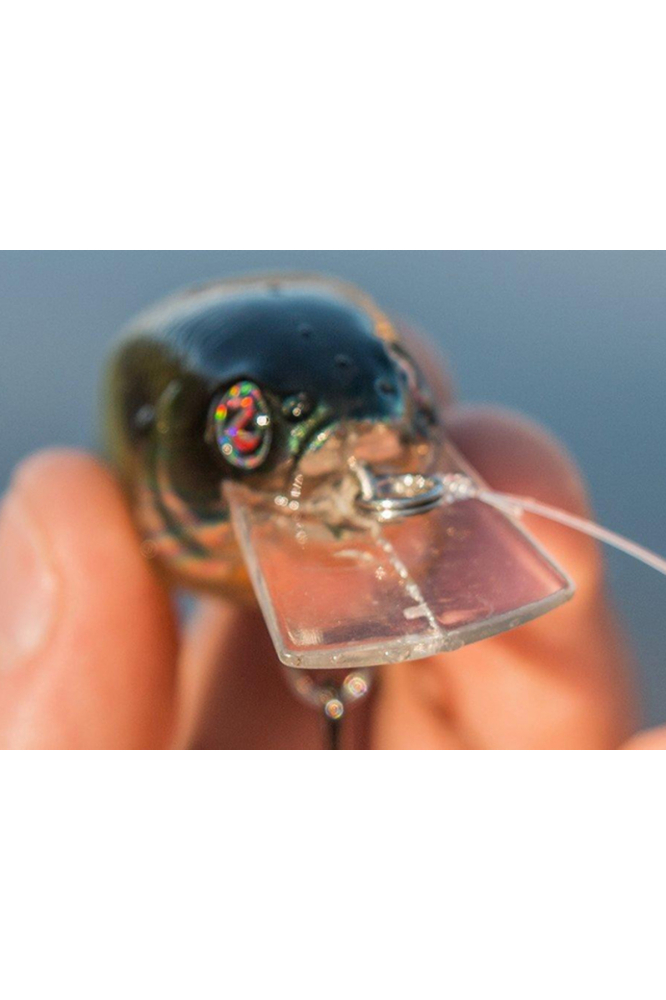 Vobler River2Sea Biggie 57 5.7cm 8.8g Delta Craw 15 F 5.7cm 8.8g Delta Craw 15 [4]