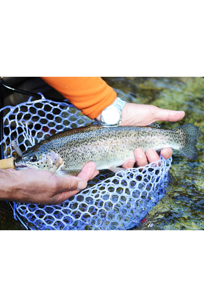 Vobler Smith Bottom Knock Swimmer Light 3cm 2.2g 06 Bottom Knock 3cm 2.2g 06 [3]