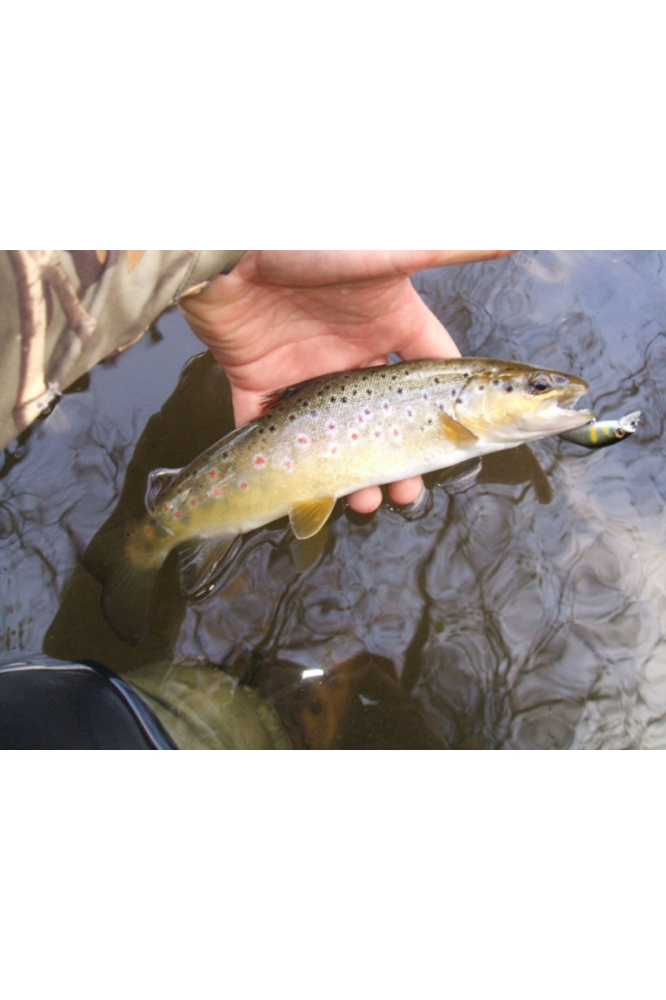 Vobler Smith D Contact 50mm 4.5g 07 S D Contact 50mm 4.5g 07 [4]