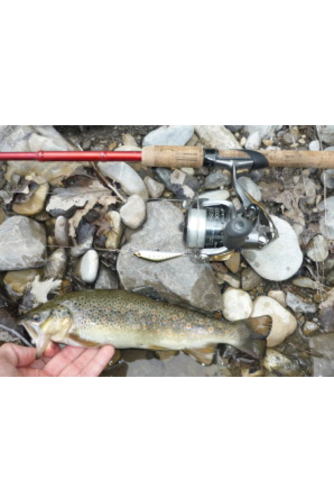 Vobler Smith D Contact 50mm 4.5g G1 S D Contact 50mm 4.5g G1 [4]