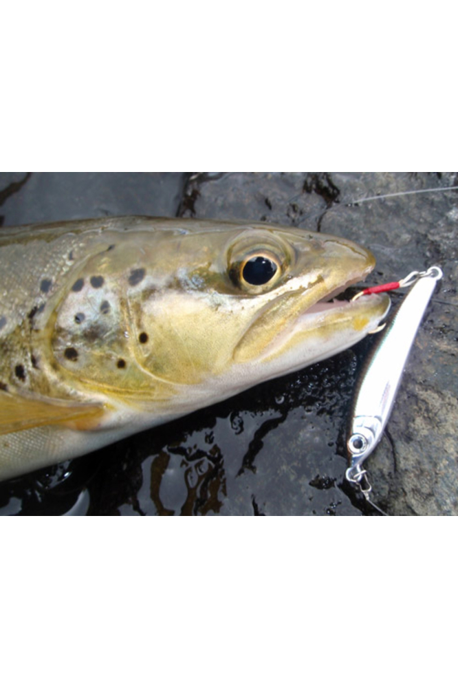 Vobler Smith Troutin Surger SH 60mm 6.5g 18 S 60mm 6.5g 18 [4]