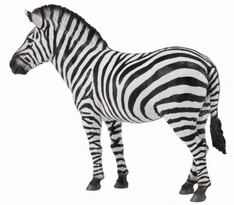 Zebra - Collecta [1]