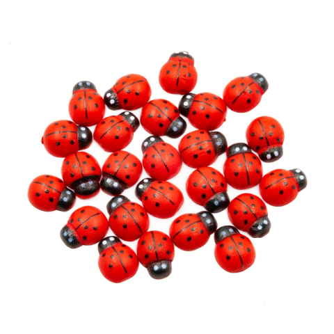 Art & Craft si Artizanat - Accesorii creatie - lemn - buburuza, colorat, 15mm, set 25 buc, Colorarte