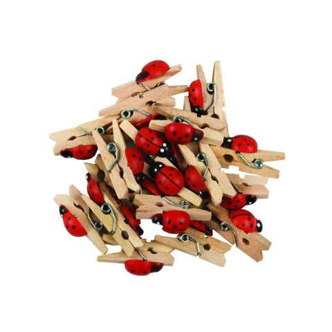 Art & Craft si Artizanat - Accesorii creatie - lemn - carlig buburuze, natur, set 20 buc, Colorarte