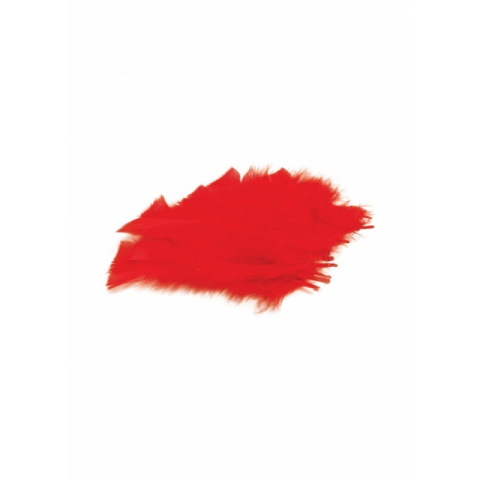 Art & Craft si Artizanat - Accesorii creatie - pene, 15-20cm, set 10 buc, Colorarte