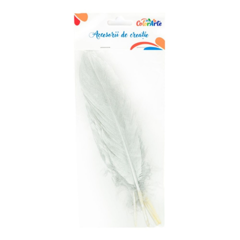Art & Craft si Artizanat - Accesorii creatie - pene argintii, 15-20cm, set 4 buc, Colorarte