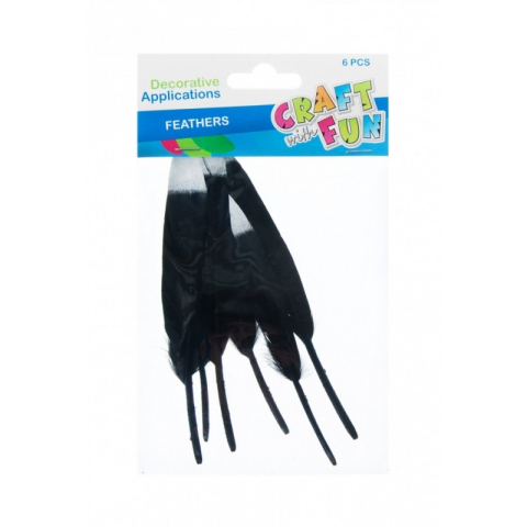 Art & Craft si Artizanat - Accesorii creatie - pene, negru, argintiu, 12-15cm, set 6 buc, Craft with Fun, 463663