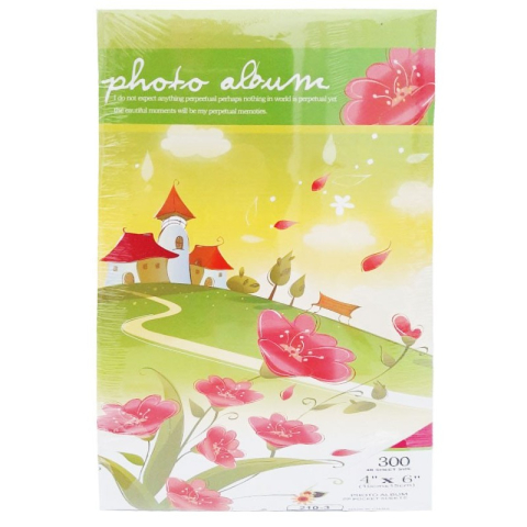 Birotică și Papetărie - Album foto CNX 210-3, cartonat, 10x15cm, 300 poze