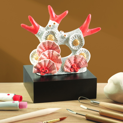 Atelier creativ 85 pentru adulti Modelaj in lut, Djeco Baiat, Fata, varsta +9 ani [3]