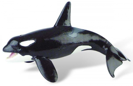 Jucării și Jocuri pentru copii - Balena Orca