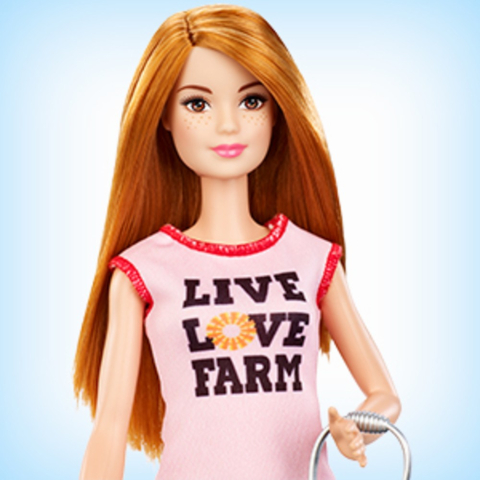Barbie cariere set mobilier cu papusa la ferma varsta 3 ani -12 ani [5]