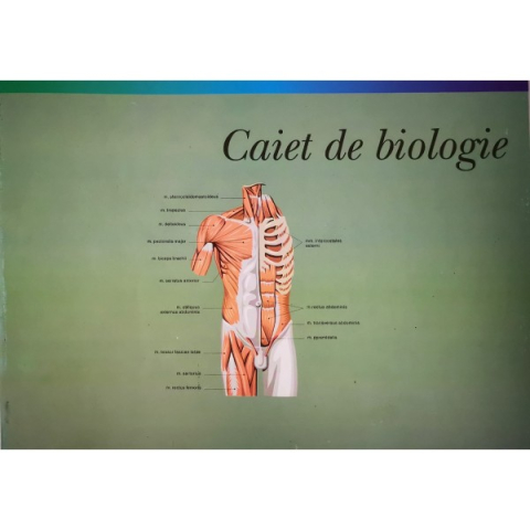 Rechizite Școlare - Caiet biologie mare gold