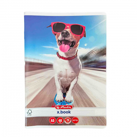 Caiete - Caiet dictando capsat, A5, 48 file, Catelul Cool - Micostore.ro