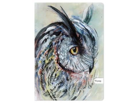 Caiete - Caiet scoala, Bufnița, A4, 48 file, 80g, Dictando