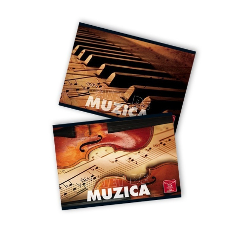 Rechizite Școlare - Caiet special A5 Pigna, 24 file, muzica