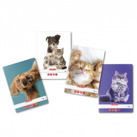 Caiete - Caiet tip II, A5, 24 file, colturi rotunjite, Herlitz Cute Animals