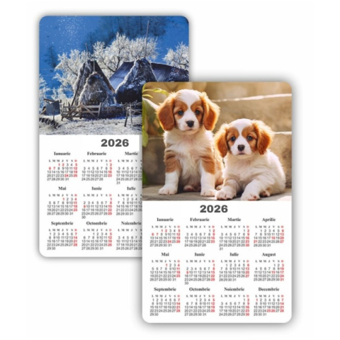 Jucării și Jocuri pentru copii - Calendar magnetic ARHI Diverse Imagini policromie, 9x14.5cm, coala 115g/mp