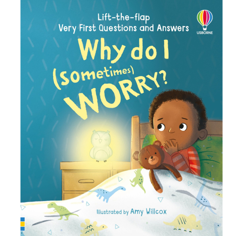 Carti in Engleza pentru copii - Carte cu ilustratii despre emotii si curaj, Very First Questions and Answers: Why do I (sometimes) worry?, Varsta 3 ani+
