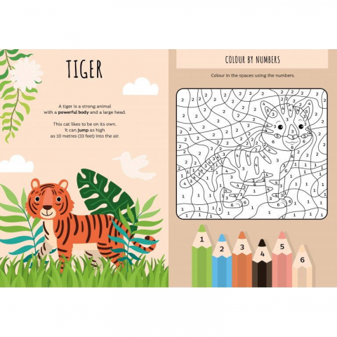 Carte de activitati cu abtibilduri - Jungla [2]