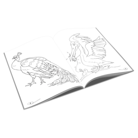 Carte de colorat B5, Pasari, Unicart [1]