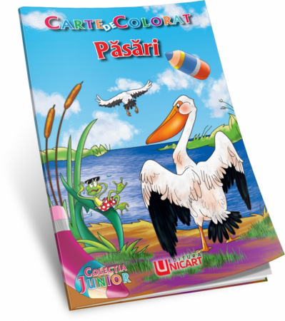 Cărți Educative, Activități - Carti de colorat si desenat pentru copii, Pasari - Micostore.ro