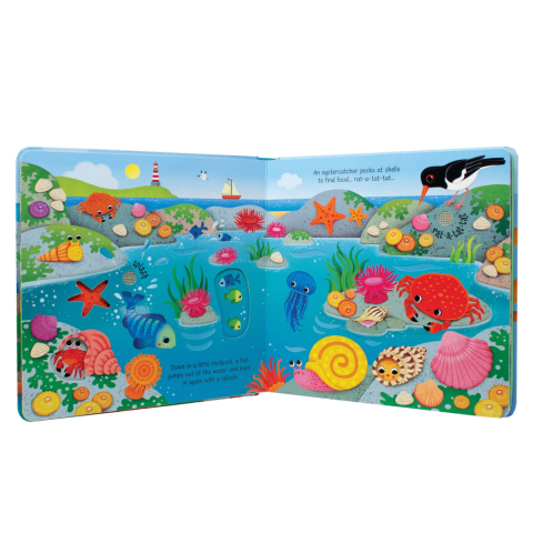 Carte Sonora Interactiva, La Mare, Seashore Sounds,  6 Luni+ [3]