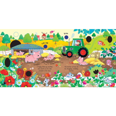 Carte Sonora Interactiva Sound Books, Ferma, Farm Sounds, Varsta 3 ani+ [3]