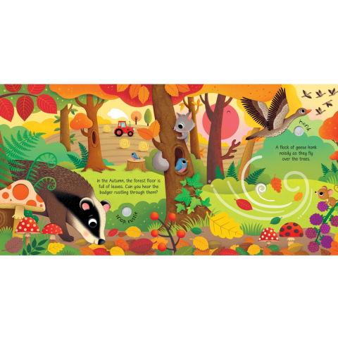 Carte Sonora Sound Book, Anotimpurile, Sunete din Natura, Seasons Sounds, Varsta 3 ani+ [2]