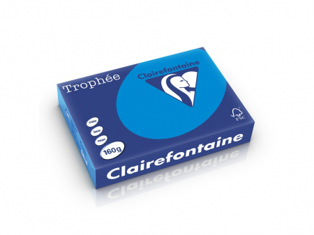Rechizite Școlare - Carton color Clairefontaine Intens