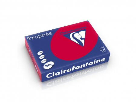 Rechizite Școlare - Carton color Clairefontaine Intens