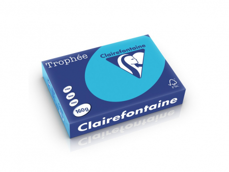 Rechizite Școlare - Carton color Clairefontaine Intens