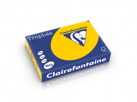 Rechizite Școlare - Carton color Clairefontaine Intens