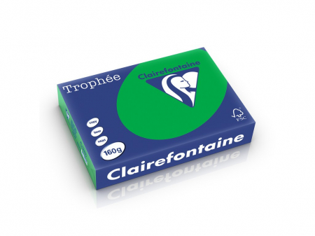 Rechizite Școlare - Carton color Clairefontaine Intens
