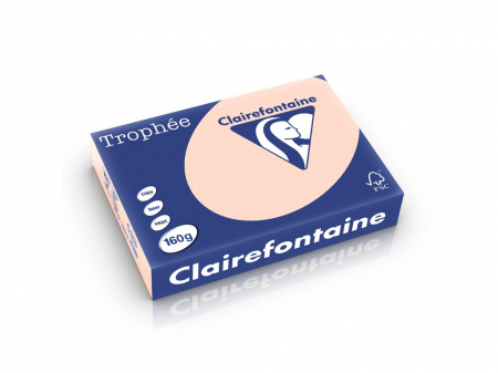 Rechizite Școlare - Carton color Clairefontaine Pastel