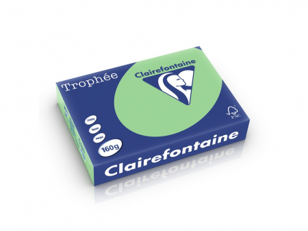 Rechizite Școlare - Carton color Clairefontaine Pastel