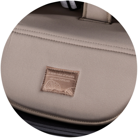 Carucior Chipolino Elite 3 in 1 tiramisu [32]