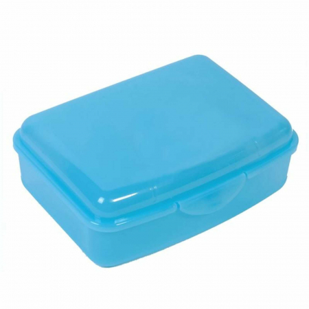 Rechizite Școlare - Caserole Mancare Copii Scoala pentru Sandvis, Albastru - Micostore