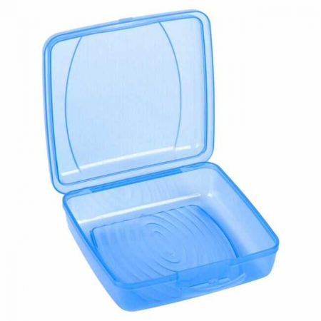 Rechizite Școlare - Caserole plastic pentru Sandwich Toast, Baieti - Albastru