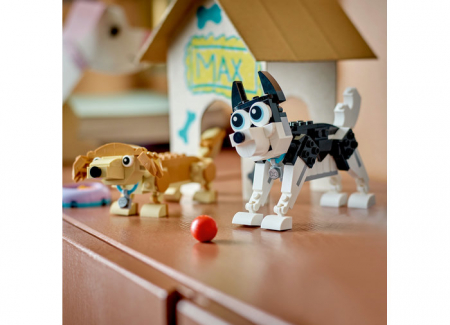 Catei adorabili, varsta de la 7 ani la 13 ani [7]