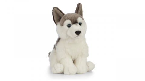 Jucării și Jocuri pentru copii - Catelus de plus Husky