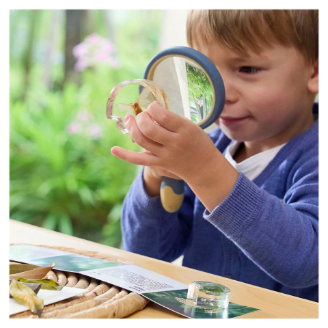 Ciclul de viata al moliei, cu piese acrilice, Guidecraft, copii varsta 3-10 ani [3]