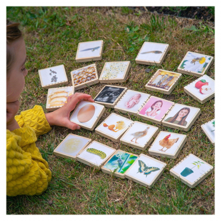 Ciclurile vietii, set placute din lemn, 24 buc., TickiT, 1-9 ani [2]