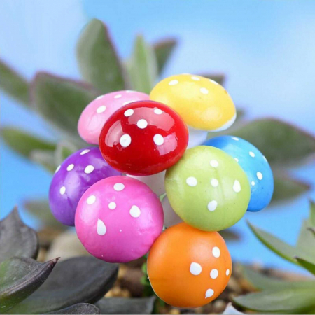 Ciuperca cu Buline si Sarma, Accesorii Craft Copii - Micostore.ro [2]