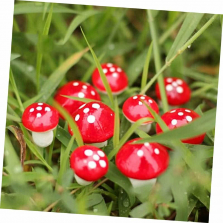 Ciuperca cu Buline si Sarma, Accesorii Craft Copii - Micostore.ro [1]