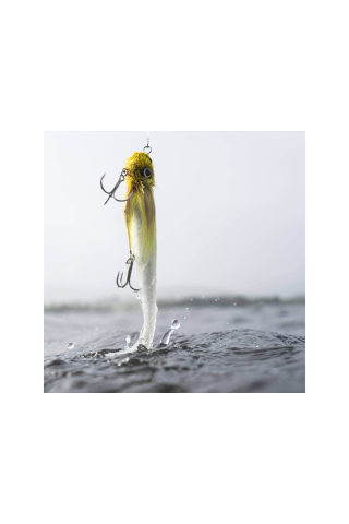 Coada de rezerva Blackbay Blacktail Shad Custom 16.5cm 50g White Fury 16.5cm 50g White Fury [1]