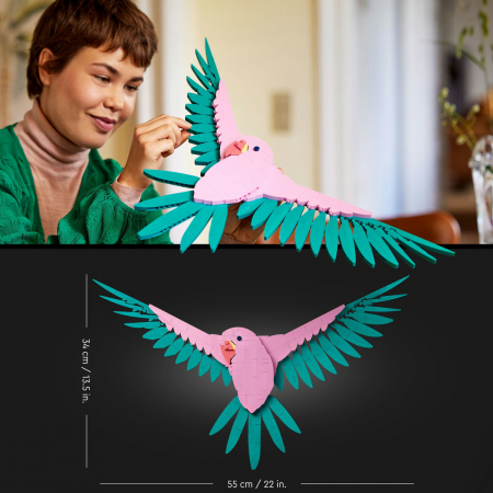 Colectia de fauna - Papagali Ara, varsta de la 14 ani la +15 ani [8]
