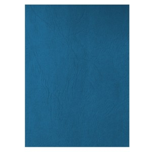 Birotică și Papetărie - Coperta carton imitatie piele ecada 41401a